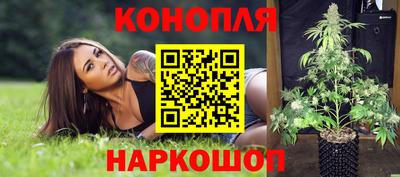 гидропоника Кунгур