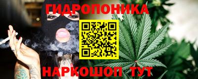 гидропоника Кунгур