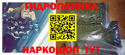 гидропоника Кунгур
