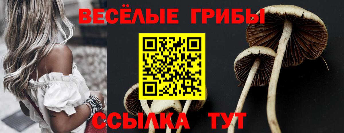 Псилоцибиновые грибы мухоморы  Вход с VPN  Галлюциногенные грибы Magic Shrooms  как найти закладки  Екатеринбург 